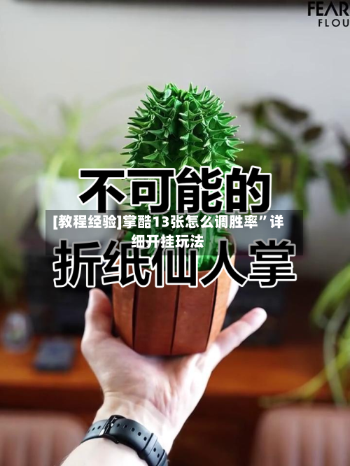 [教程经验]掌酷13张怎么调胜率”详细开挂玩法-第2张图片