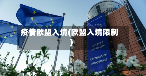 疫情欧盟入境(欧盟入境限制)-第2张图片