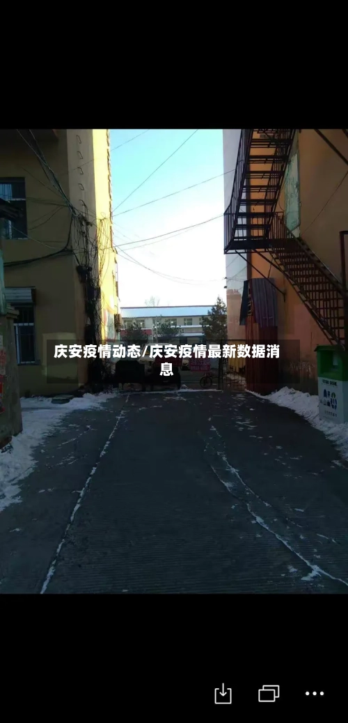 庆安疫情动态/庆安疫情最新数据消息-第2张图片