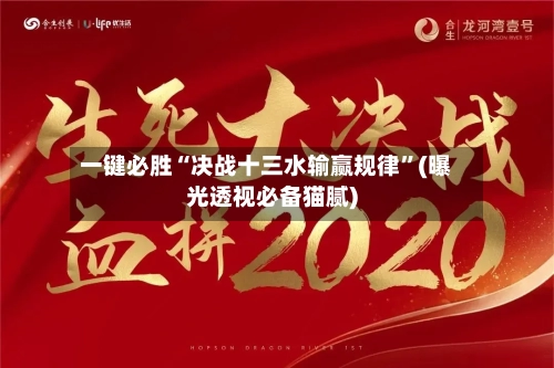 一键必胜“决战十三水输赢规律”(曝光透视必备猫腻)-第3张图片