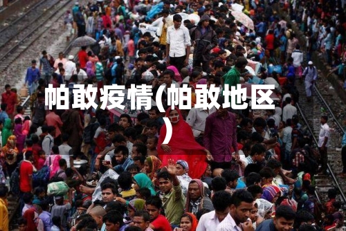 帕敢疫情(帕敢地区)