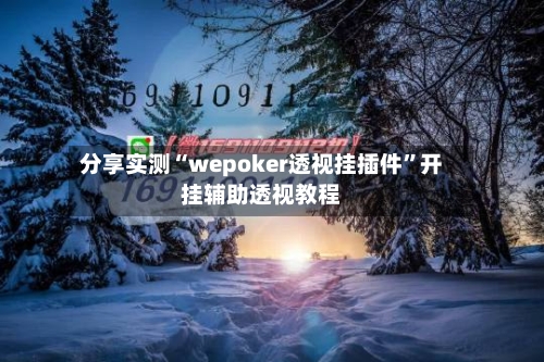 分享实测“wepoker透视挂插件	”开挂辅助透视教程-第1张图片