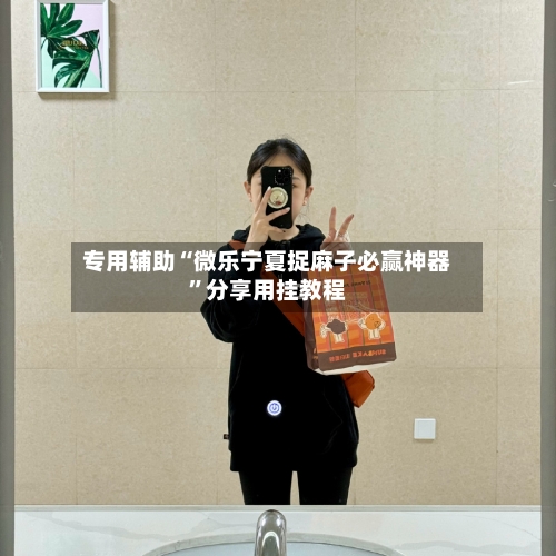 专用辅助“微乐宁夏捉麻子必赢神器”分享用挂教程-第1张图片