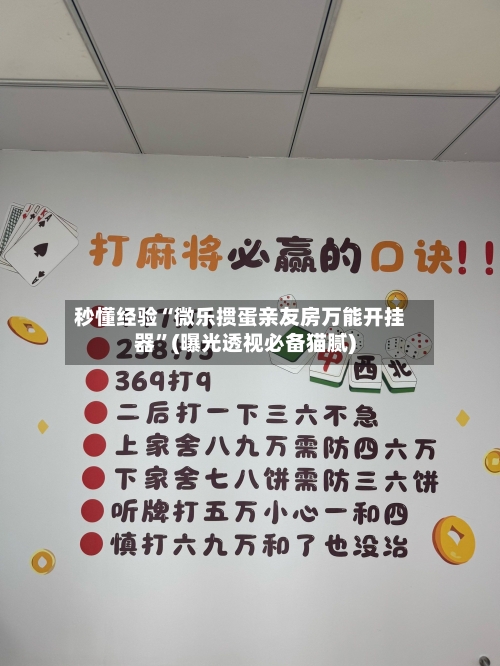 秒懂经验“微乐掼蛋亲友房万能开挂器”(曝光透视必备猫腻)-第1张图片