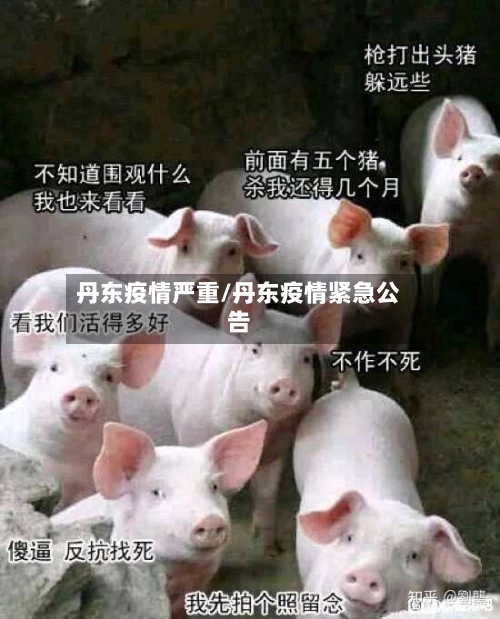 丹东疫情严重/丹东疫情紧急公告