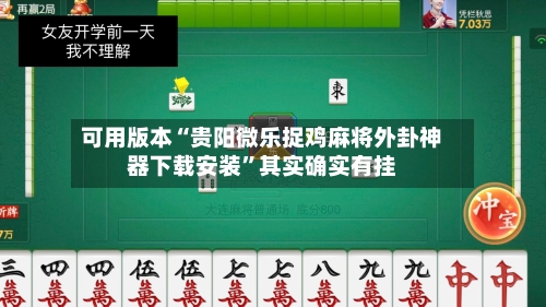 可用版本“贵阳微乐捉鸡麻将外卦神器下载安装	”其实确实有挂-第2张图片