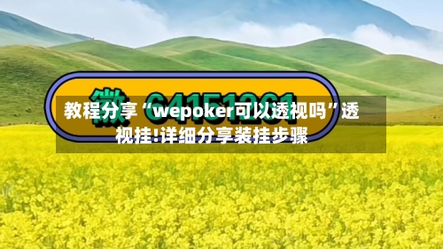 教程分享“wepoker可以透视吗”透视挂!详细分享装挂步骤-第1张图片