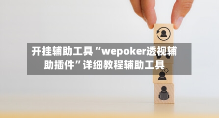 开挂辅助工具“wepoker透视辅助插件”详细教程辅助工具-第3张图片
