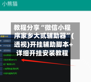 教程分享“微信小程序家乡大贰辅助器	”(透视)开挂辅助脚本+详细开挂安装教程-第3张图片