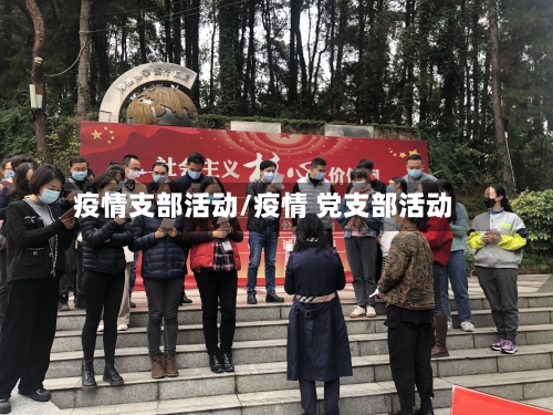 疫情支部活动/疫情 党支部活动-第3张图片