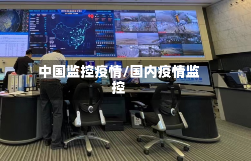 中国监控疫情/国内疫情监控