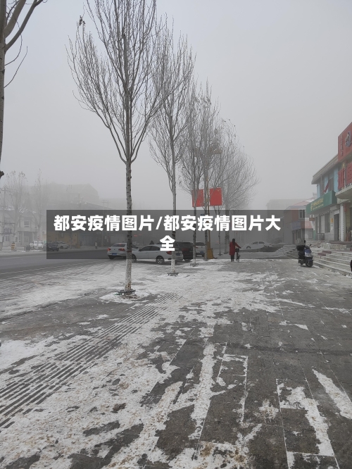 都安疫情图片/都安疫情图片大全