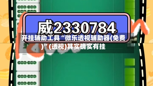 开挂辅助工具“微乐透视辅助器(免费)”(透视)其实确实有挂-第2张图片
