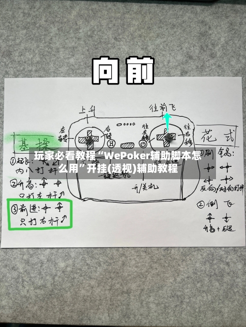 玩家必看教程“WePoker辅助脚本怎么用”开挂(透视)辅助教程