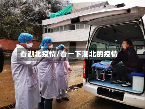 看湖北疫情/看一下湖北的疫情