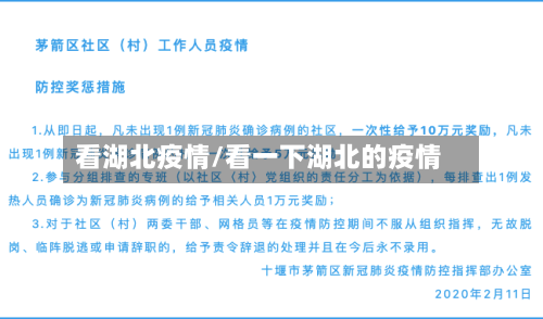 看湖北疫情/看一下湖北的疫情-第3张图片