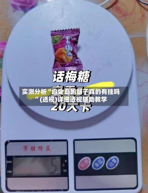 实测分析“白金岛跑胡子真的有挂吗”(透视)详细透视辅助教学-第1张图片