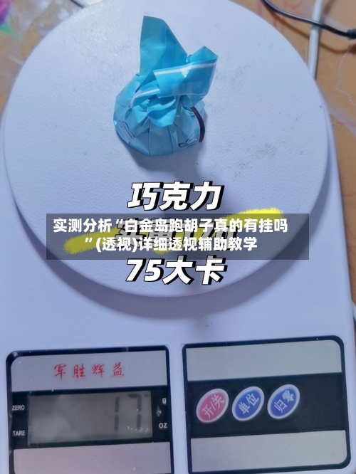 实测分析“白金岛跑胡子真的有挂吗	”(透视)详细透视辅助教学-第2张图片