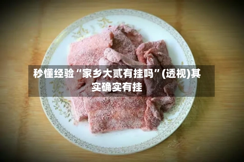 秒懂经验“家乡大贰有挂吗”(透视)其实确实有挂-第1张图片