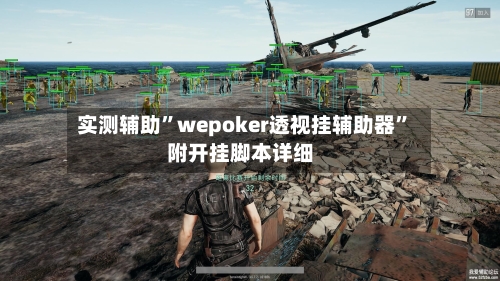 实测辅助”wepoker透视挂辅助器”附开挂脚本详细
