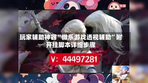 玩家辅助神器“微乐游戏透视辅助	”附开挂脚本详细步骤-第3张图片