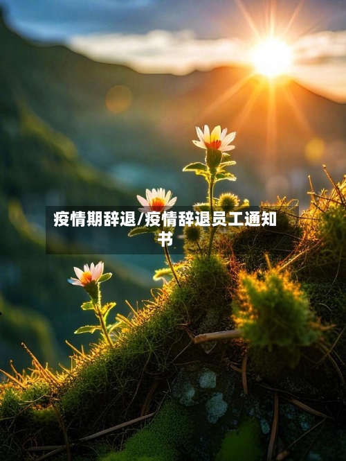 疫情期辞退/疫情辞退员工通知书-第1张图片