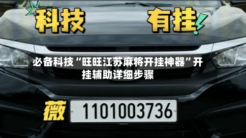 必备科技“旺旺江苏麻将开挂神器”开挂辅助详细步骤-第2张图片