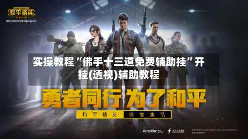 实操教程“佛手十三道免费辅助挂”开挂(透视)辅助教程-第1张图片