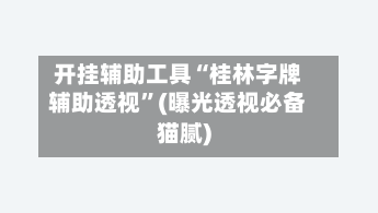 开挂辅助工具“桂林字牌辅助透视”(曝光透视必备猫腻)-第3张图片