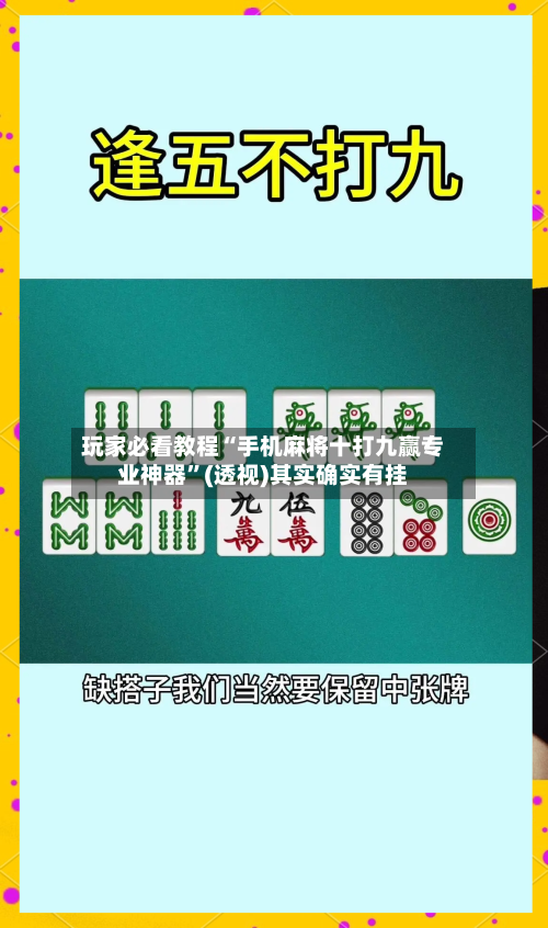 玩家必看教程“手机麻将十打九赢专业神器	”(透视)其实确实有挂-第3张图片