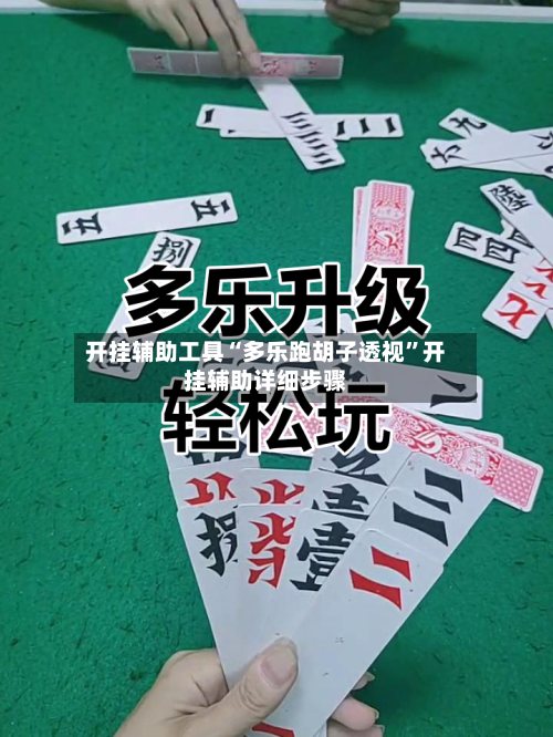 开挂辅助工具“多乐跑胡子透视”开挂辅助详细步骤