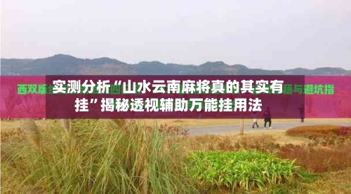 实测分析“山水云南麻将真的其实有挂”揭秘透视辅助万能挂用法-第2张图片
