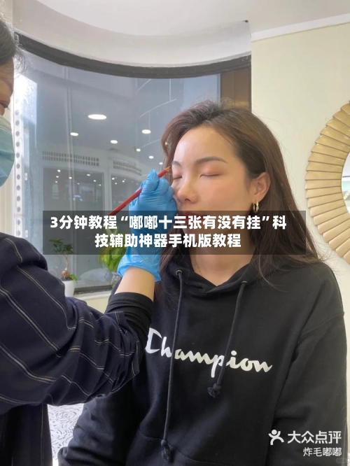 3分钟教程“嘟嘟十三张有没有挂”科技辅助神器手机版教程-第2张图片