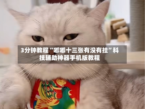 3分钟教程“嘟嘟十三张有没有挂”科技辅助神器手机版教程