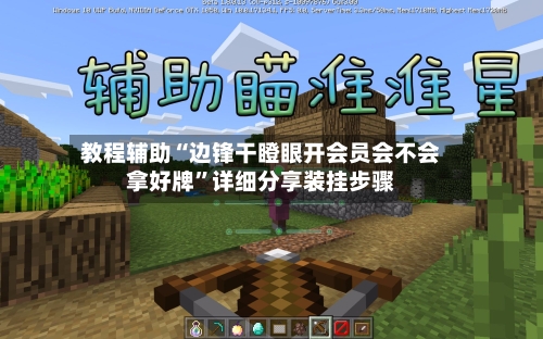 教程辅助“边锋干瞪眼开会员会不会拿好牌”详细分享装挂步骤-第1张图片