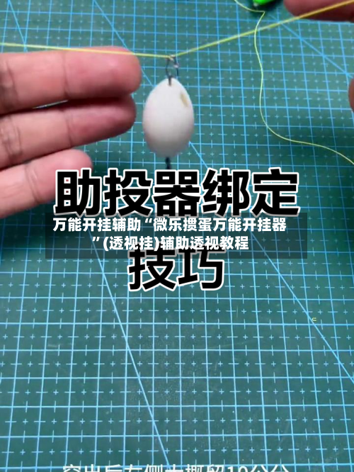 万能开挂辅助“微乐掼蛋万能开挂器	”(透视挂)辅助透视教程-第2张图片