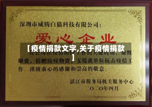 【疫情捐款文字,关于疫情捐款】