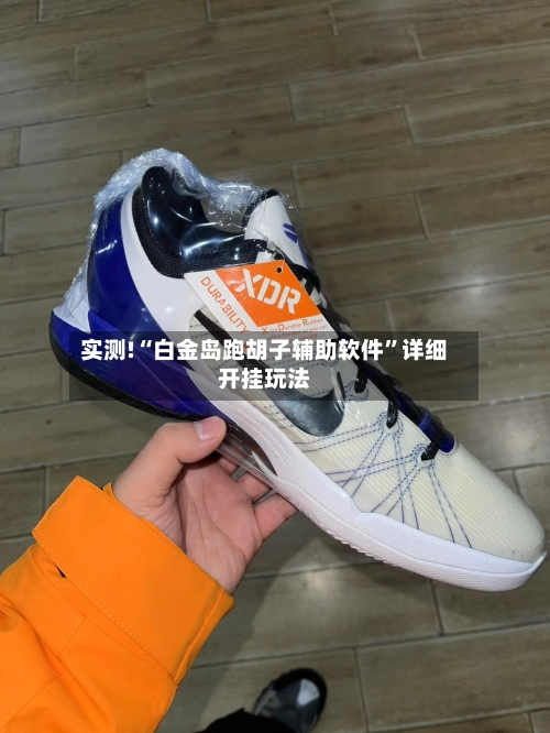 实测!“白金岛跑胡子辅助软件”详细开挂玩法-第1张图片