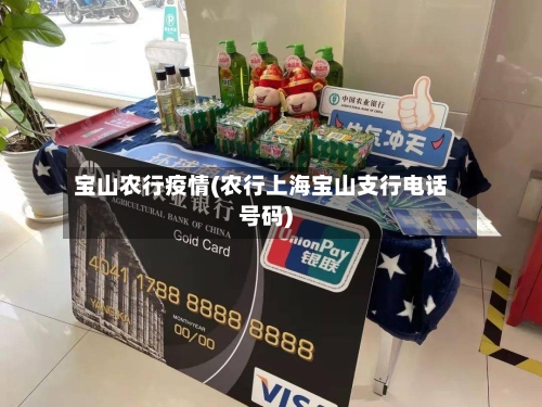 宝山农行疫情(农行上海宝山支行电话号码)