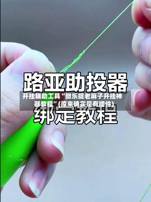 开挂辅助工具“微乐捉老麻子开挂神器教程	”(原来确实是有插件)-第1张图片