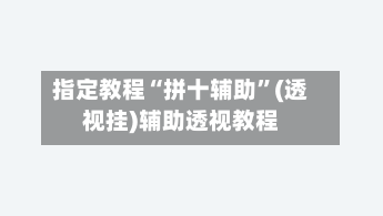 指定教程“拼十辅助”(透视挂)辅助透视教程-第2张图片