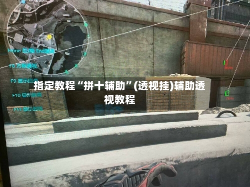 指定教程“拼十辅助”(透视挂)辅助透视教程-第3张图片