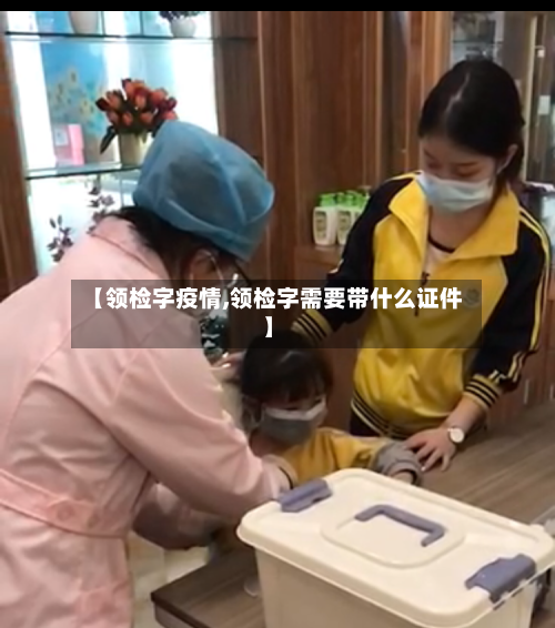 【领检字疫情,领检字需要带什么证件】