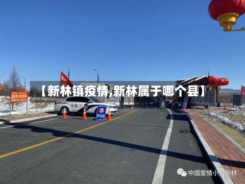 【新林镇疫情,新林属于哪个县】-第1张图片