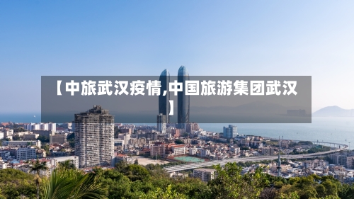 【中旅武汉疫情,中国旅游集团武汉】