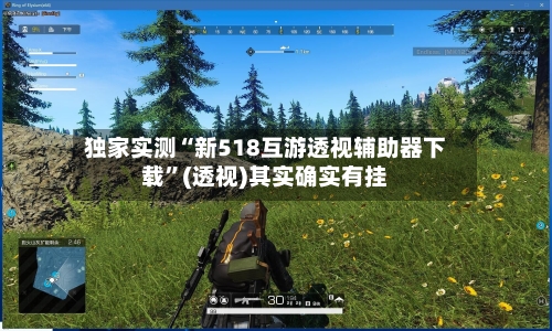 独家实测“新518互游透视辅助器下载	”(透视)其实确实有挂-第1张图片