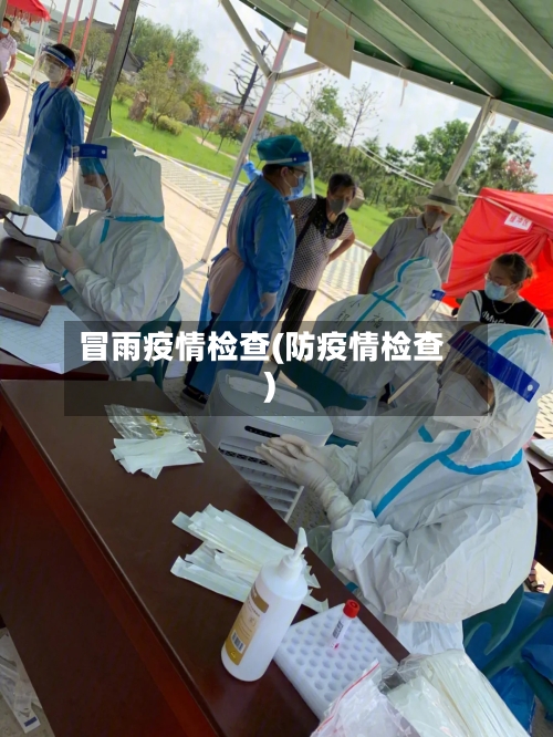 冒雨疫情检查(防疫情检查)