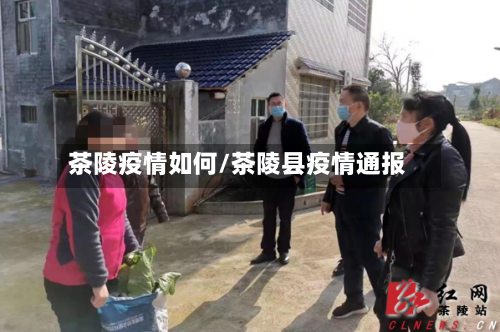 茶陵疫情如何/茶陵县疫情通报-第3张图片