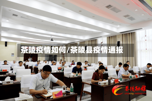 茶陵疫情如何/茶陵县疫情通报