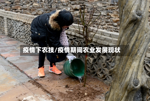 疫情下农技/疫情期间农业发展现状